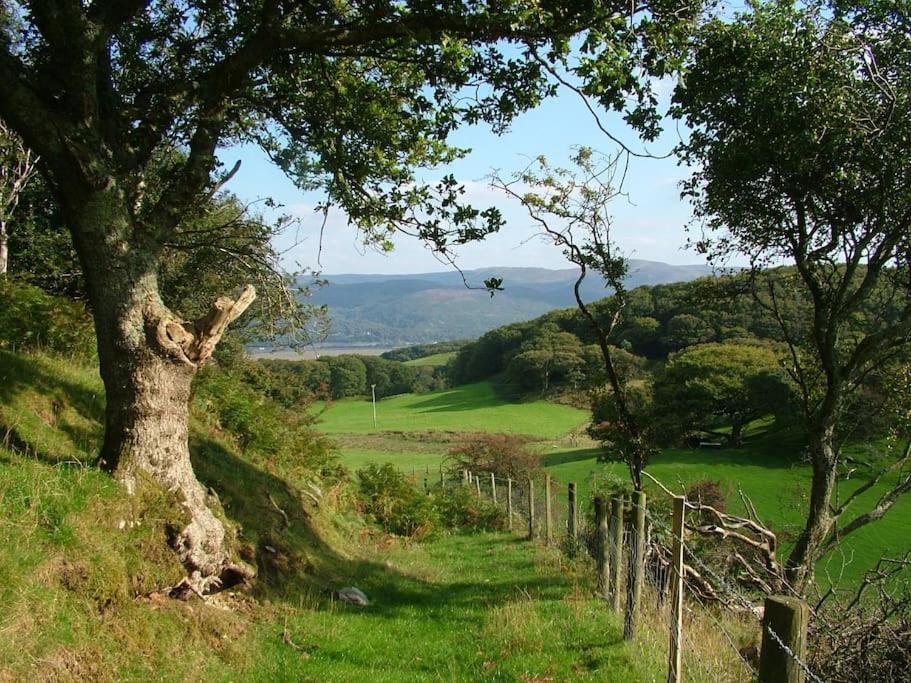 Stunning Views Of Ynyshir & Southern Snowdonia マカンスレス エクステリア 写真