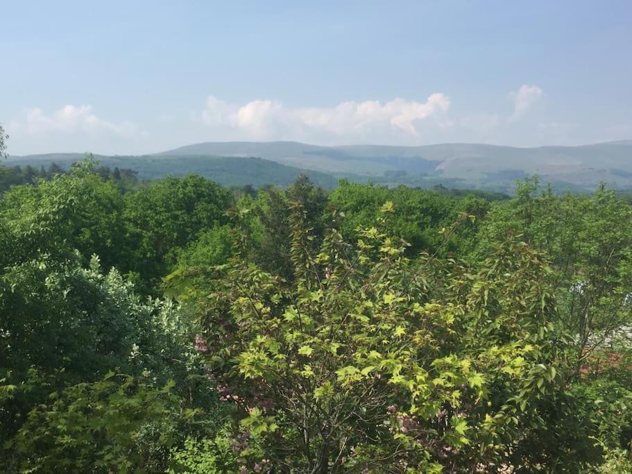 Stunning Views Of Ynyshir & Southern Snowdonia マカンスレス エクステリア 写真