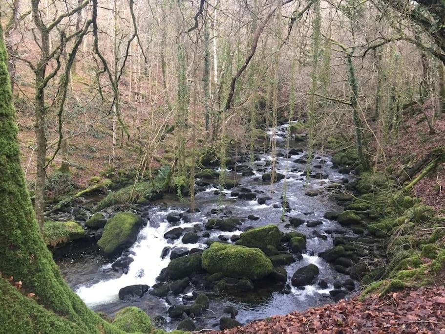 Stunning Views Of Ynyshir & Southern Snowdonia マカンスレス エクステリア 写真